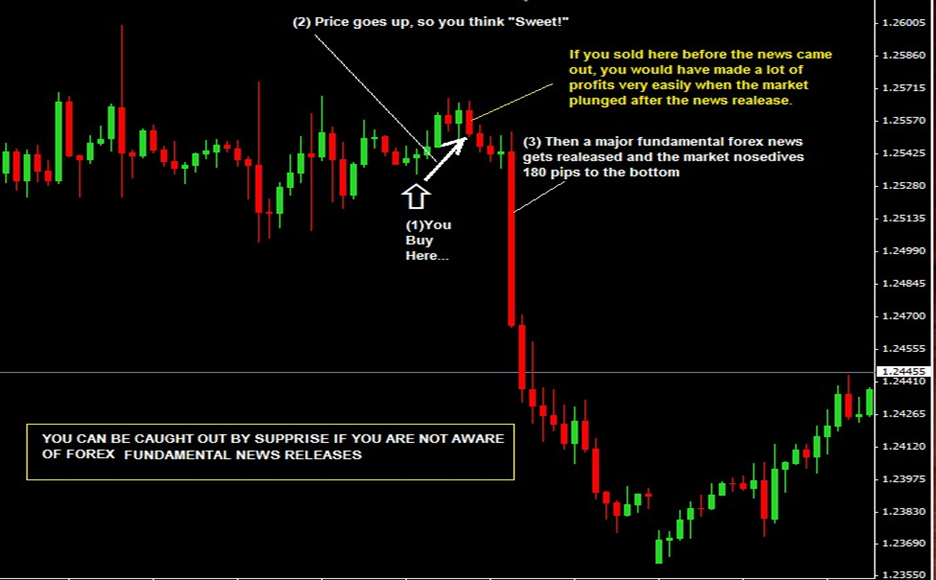 best price action trading course