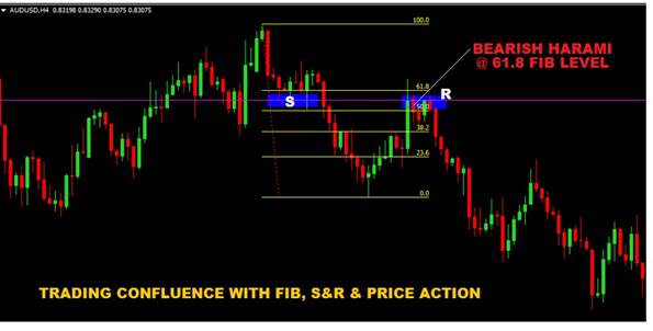 pure price action trading course for options