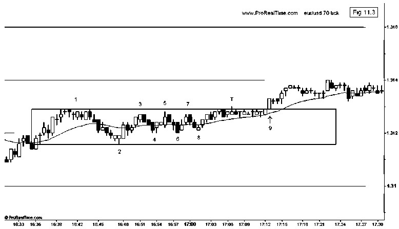 forex daily strategy